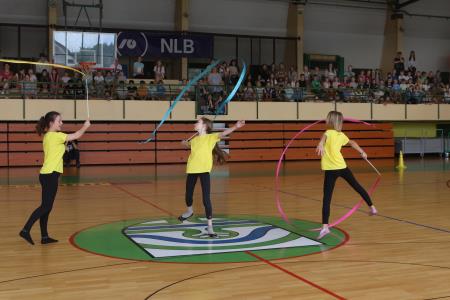 SLOVENSKA BAKLA V CERKNICI 17 FOTO LJUBO VUKELIČ